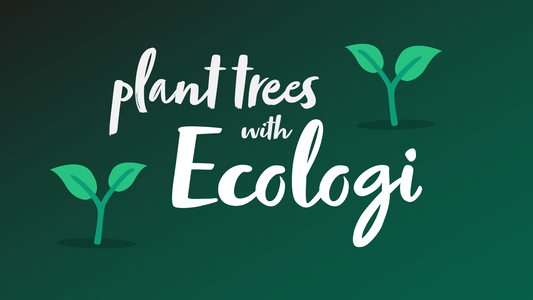 Our tree planting with Ecologi