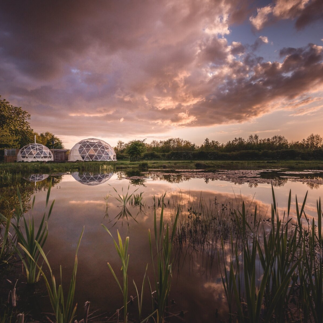 Workshop | Back To Nature pt 2 (Purusha)