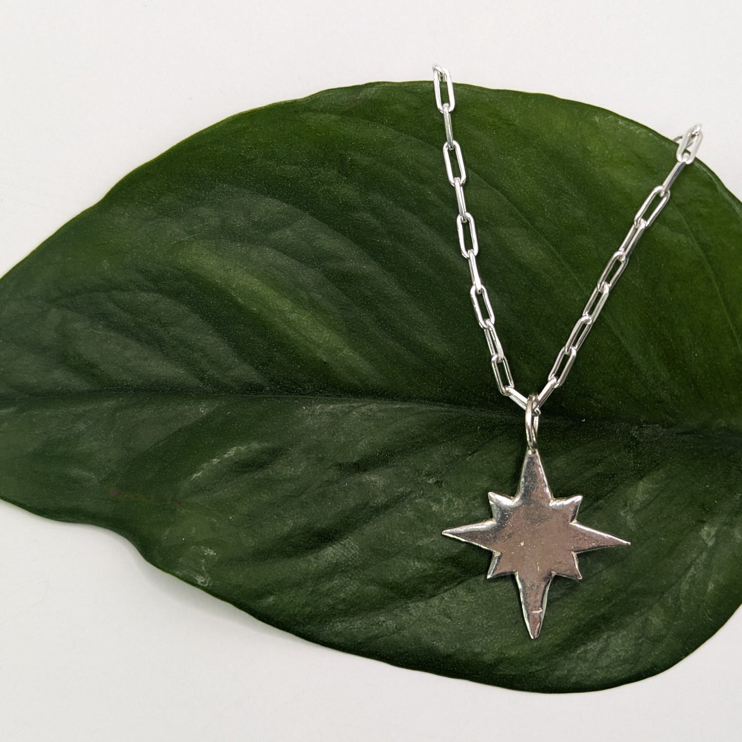 Maxi Trace | Pole Star