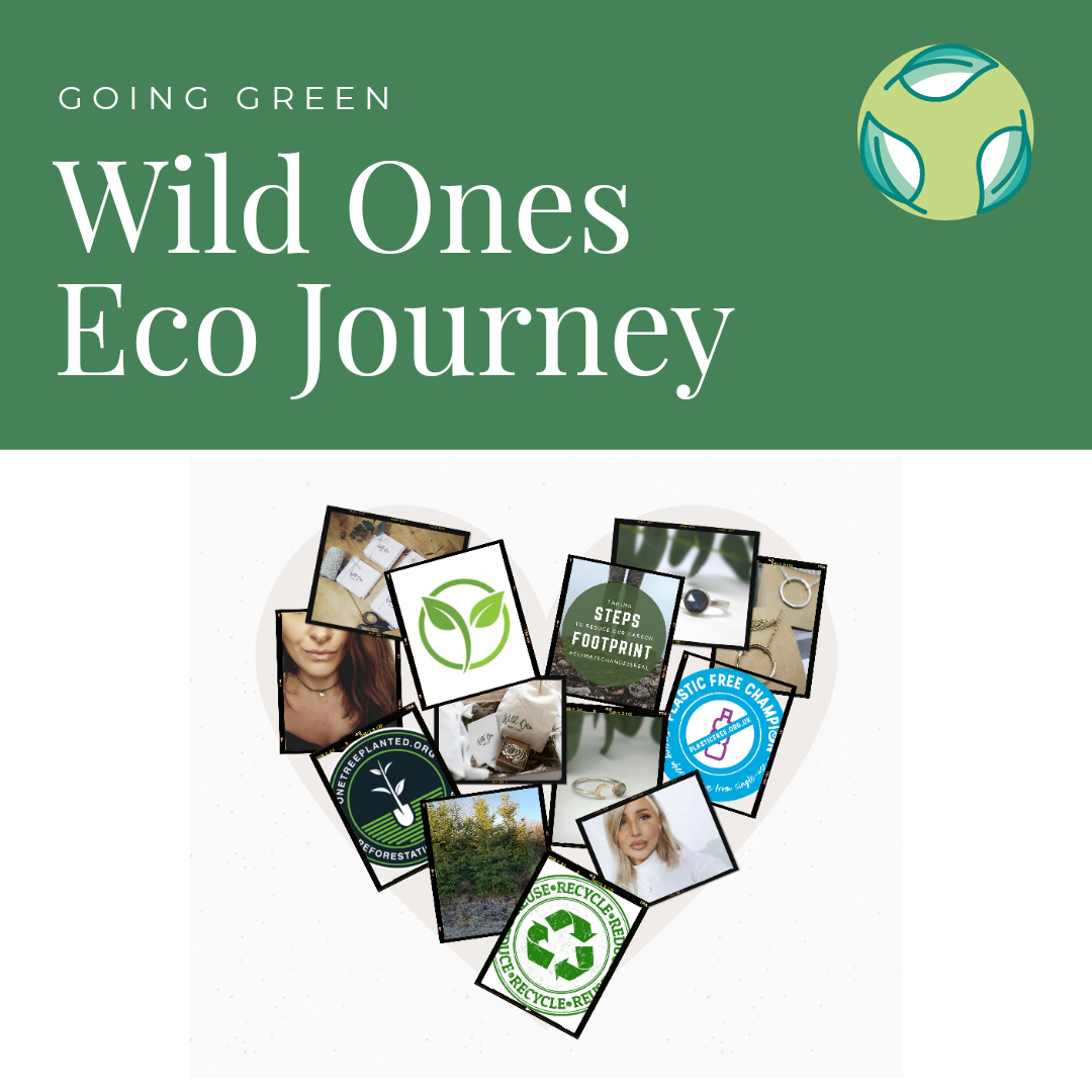 Our Eco Journey